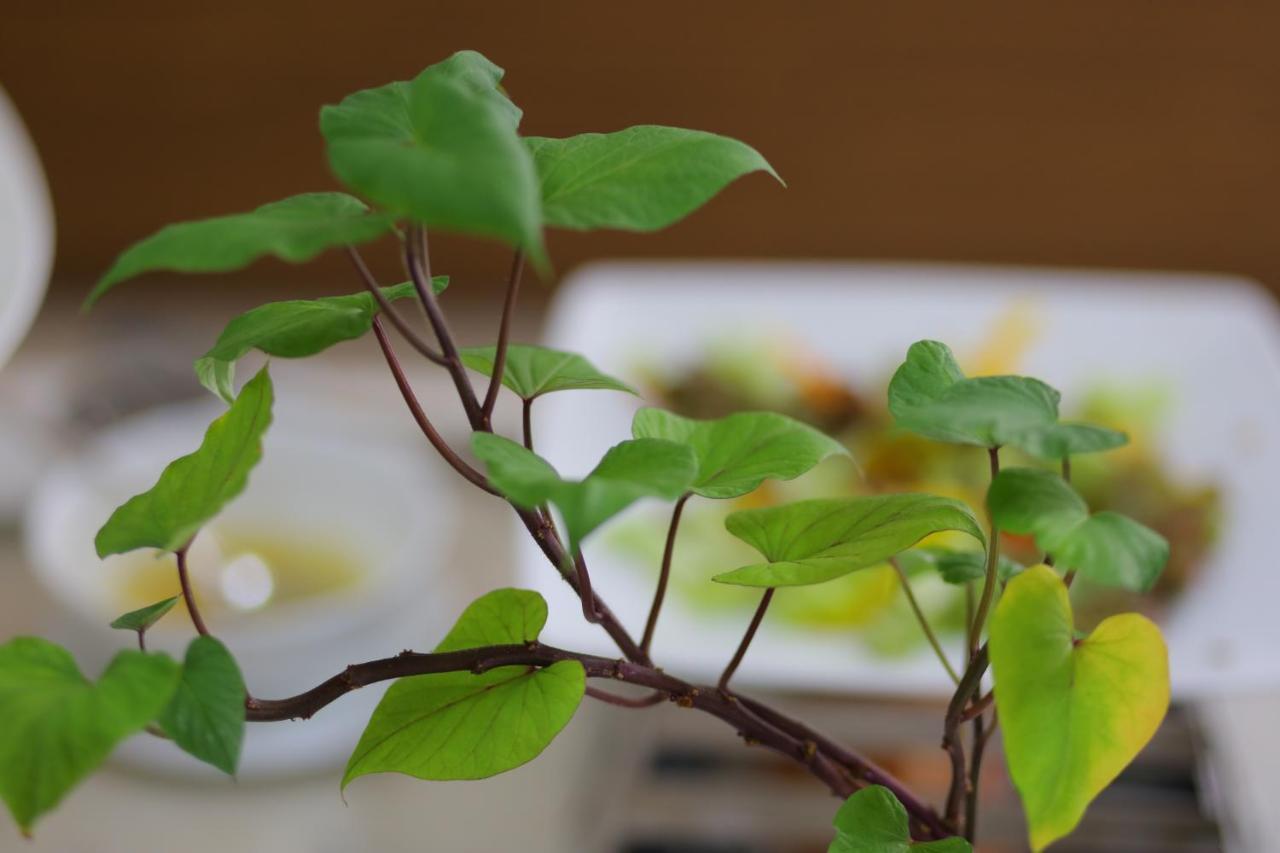 Nagila Boutique Hotel Da Nang Eksteriør billede